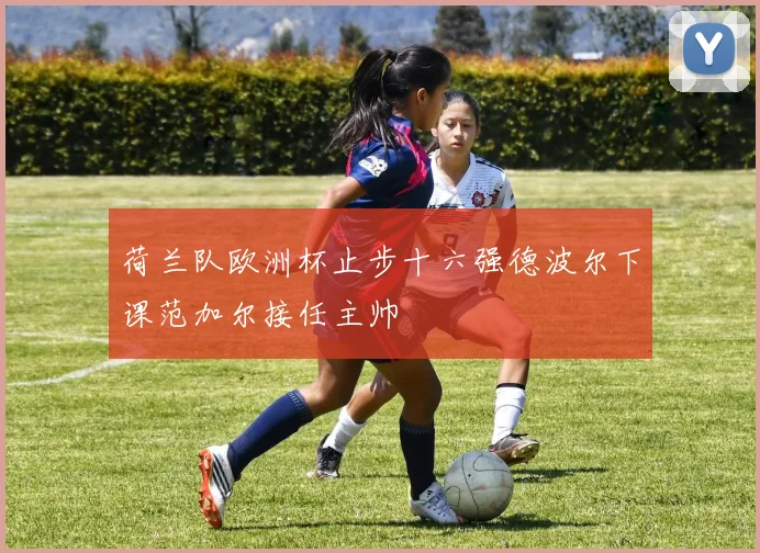 荷兰队欧洲杯止步十六强德波尔下课范加尔接任主帅