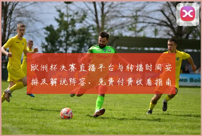 欧洲杯决赛直播平台与转播时间安排及解说阵容、免费付费收看指南