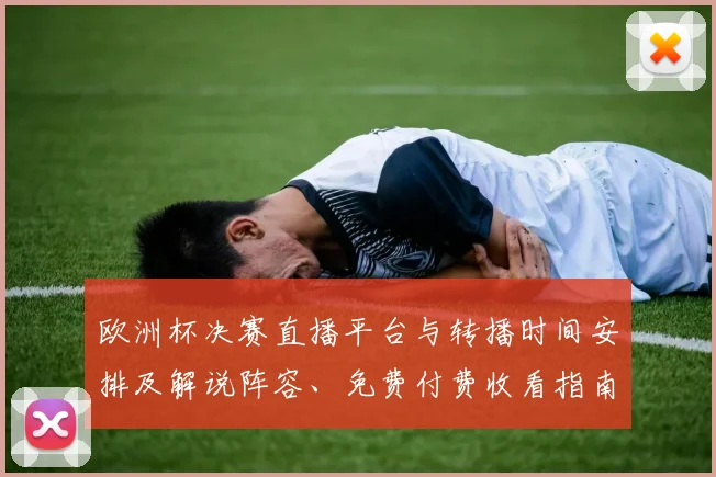 欧洲杯决赛直播平台与转播时间安排及解说阵容、免费付费收看指南