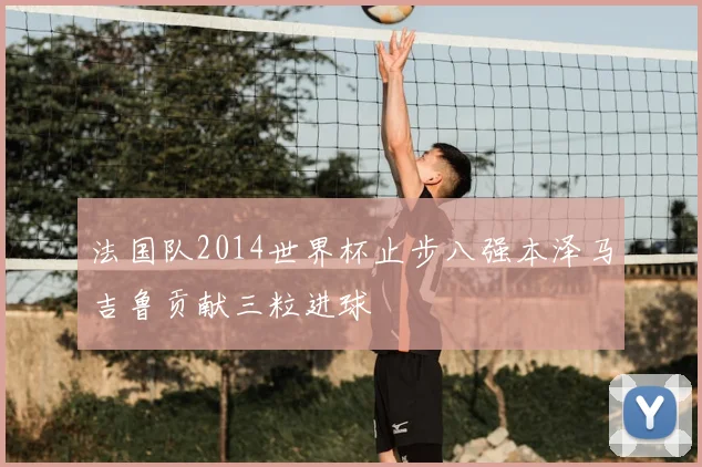 法国队2014世界杯止步八强本泽马吉鲁贡献三粒进球