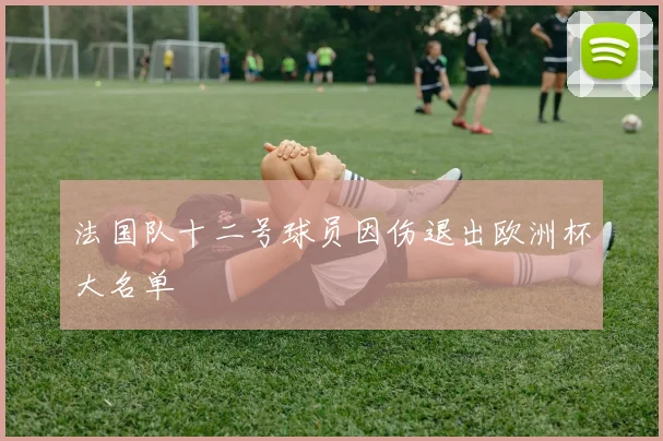 法国队十二号球员因伤退出欧洲杯大名单