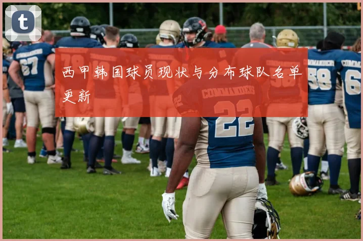 西甲韩国球员现状与分布球队名单更新