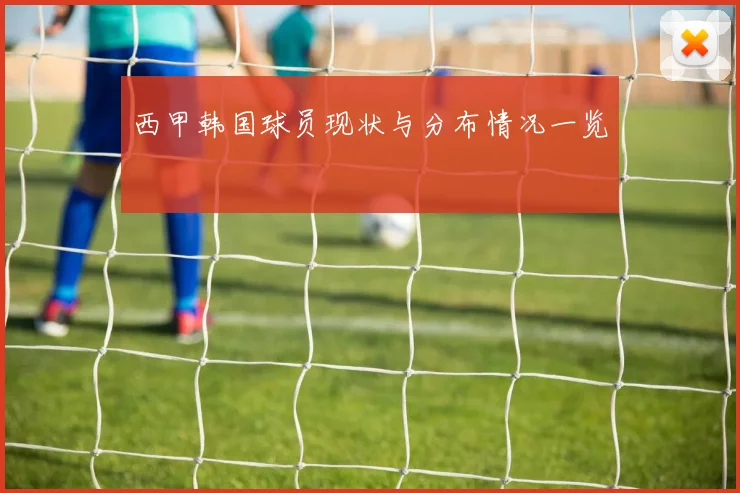 西甲韩国球员现状与分布情况一览