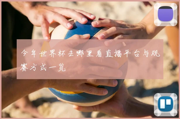 今年世界杯去哪里看直播平台与观赛方式一览