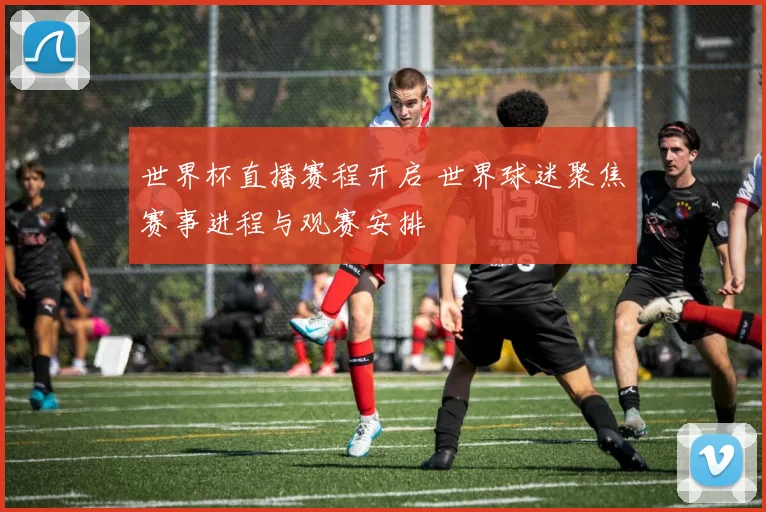 世界杯直播赛程开启 世界球迷聚焦赛事进程与观赛安排