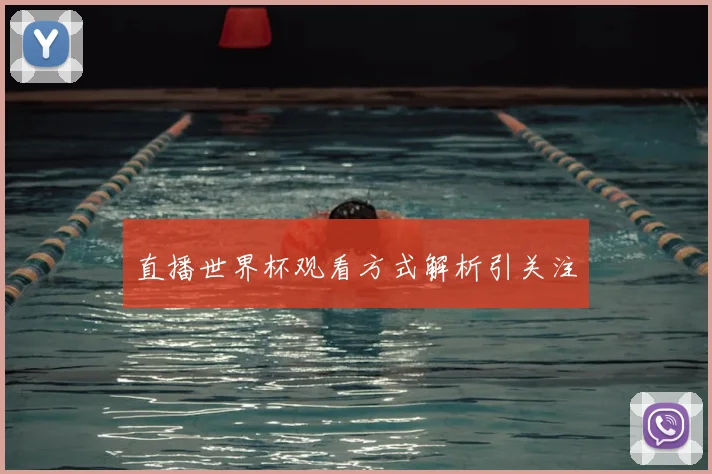 直播世界杯观看方式解析引关注