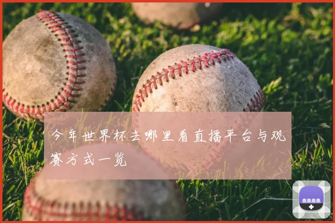 今年世界杯去哪里看直播平台与观赛方式一览