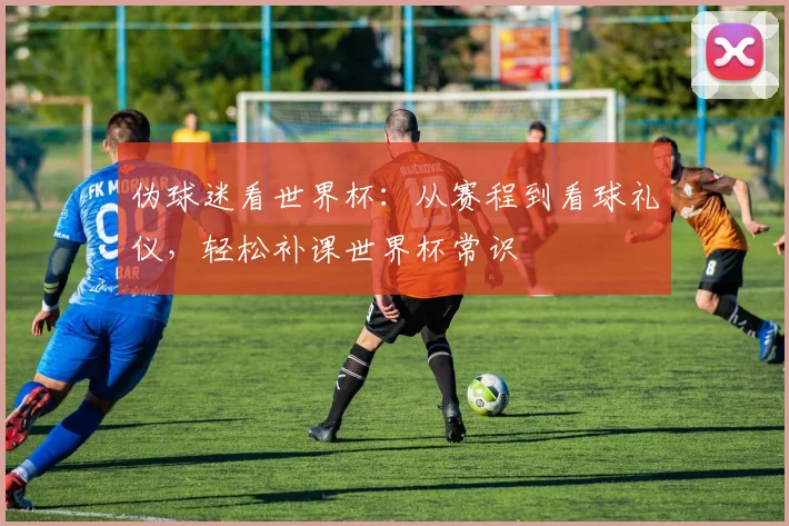 伪球迷看世界杯:从赛程到看球礼仪,轻松补课世界杯常识